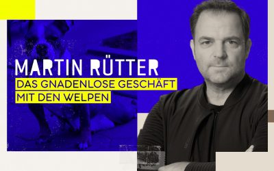 Martin Rütter auf den Spuren des internationalen Welpenhandels