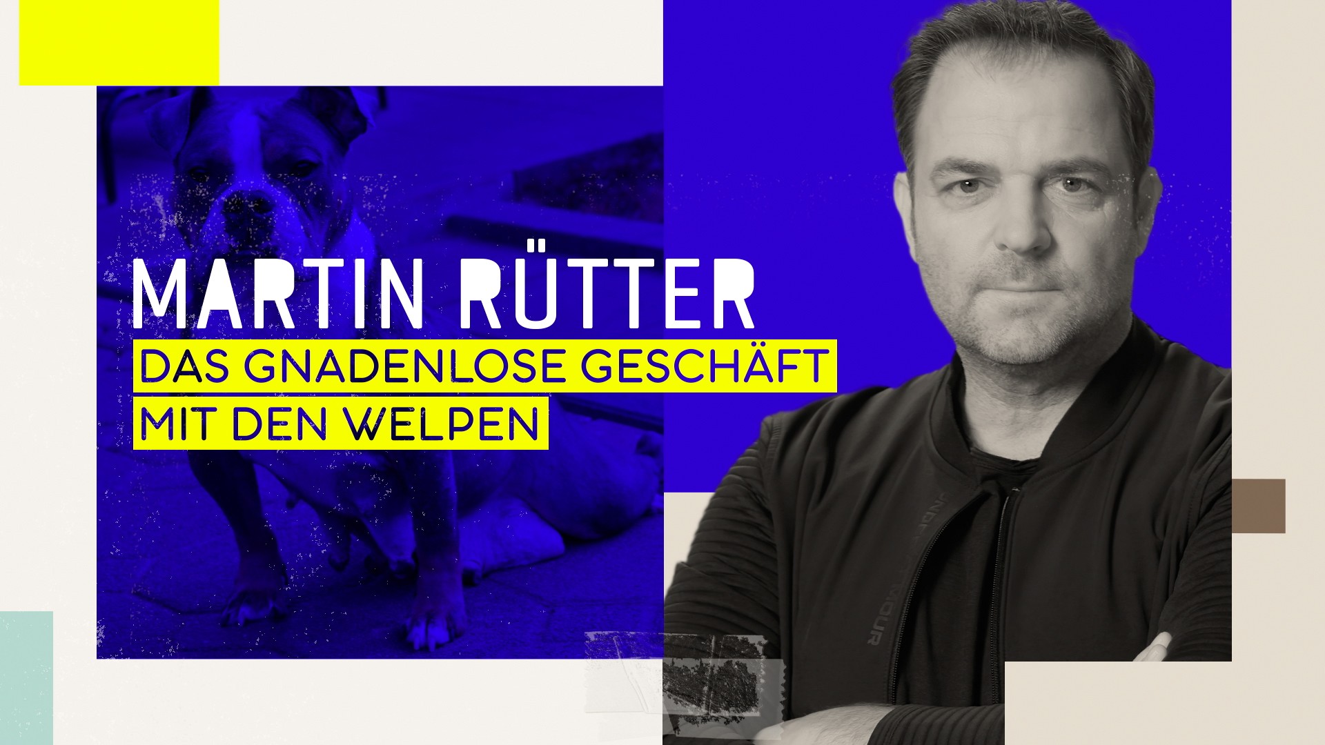 Martin Rütter - Das gnadenlose Geschäft mit den Welpen