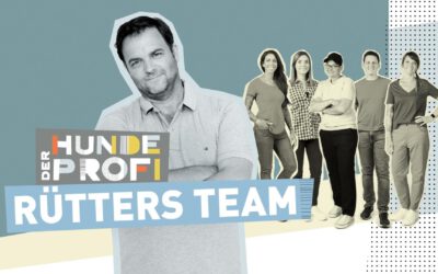 „Der Hundeprofi – Martin Rütters Team“, ab Samstag, 20.09., 19:10 Uhr bei VOX Austria